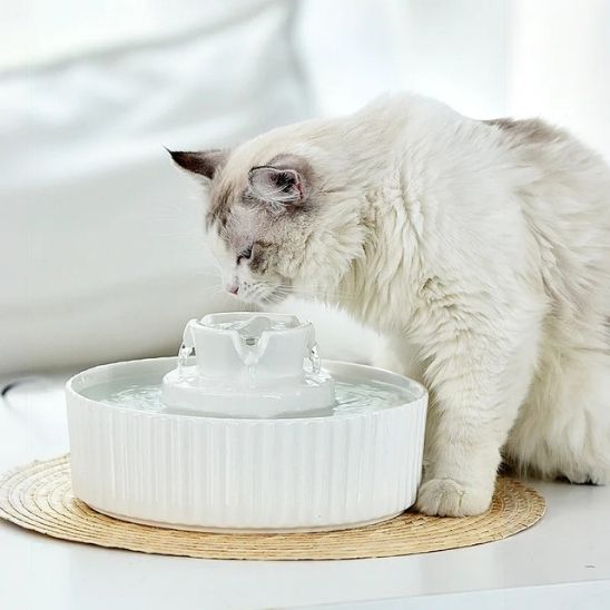 fontaine-chat-ceramique-sophistiqué