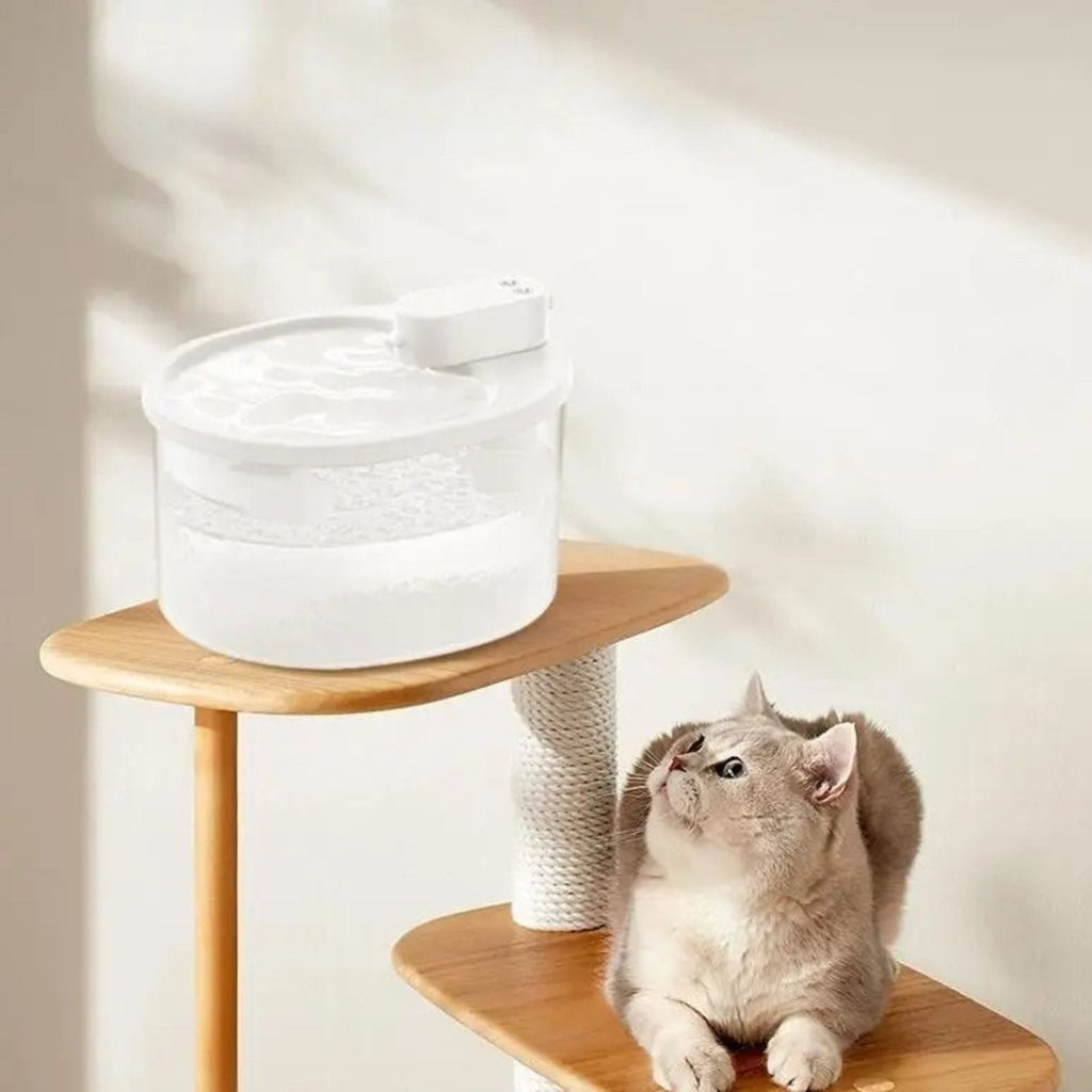fontaine chat | AquaLibre