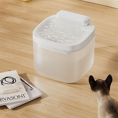 Fontaine eau chat | SourceVive