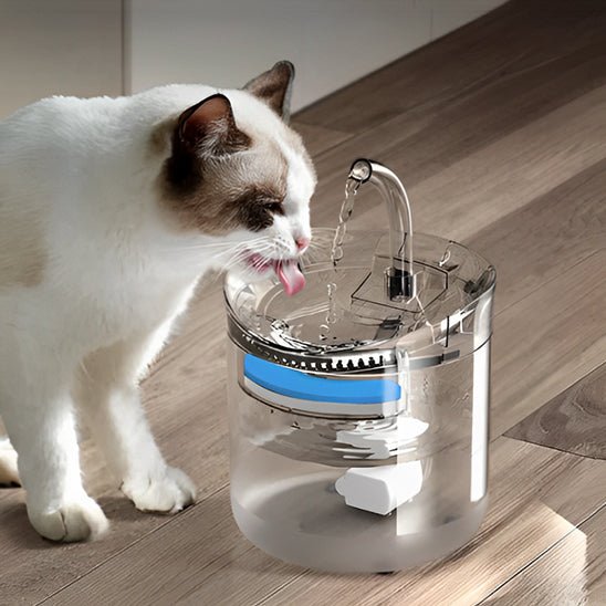 fontaine eau chat | EAUCLEAN