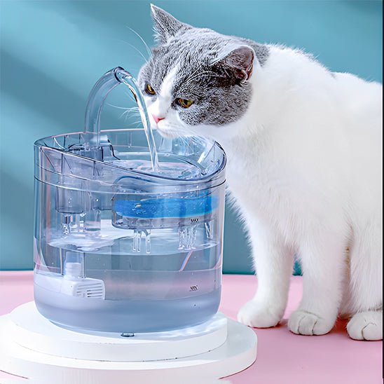 fontaine eau chat | EAUCLEAN