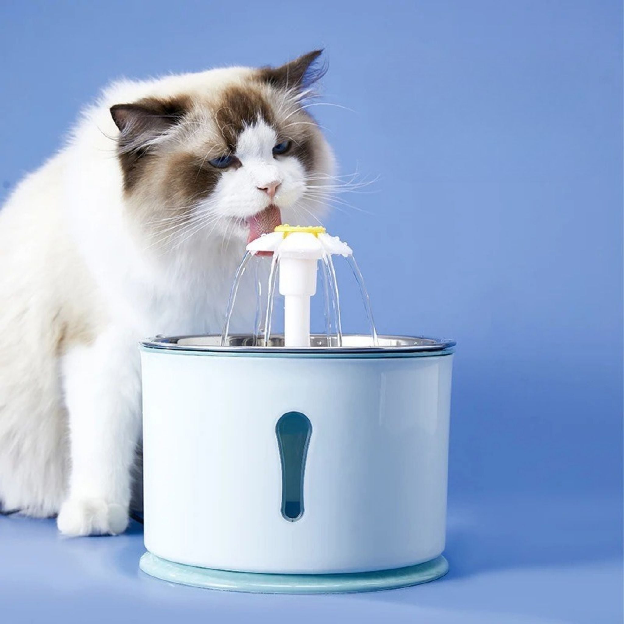 fontaine eau chat | Fontaine Féline Inox