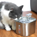 fontaine eau chat | SILVER WATER