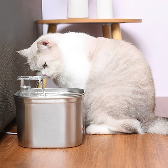 fontaine eau chat | SILVER WATER