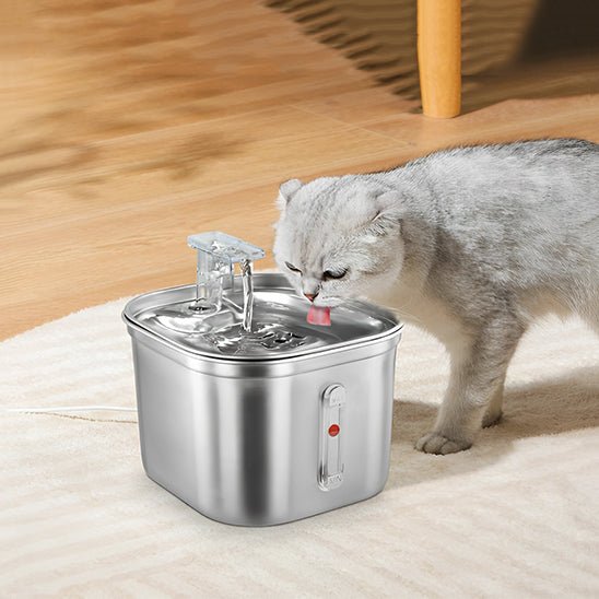 fontaine eau chat | SILVER WATER