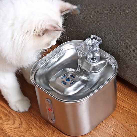 fontaine eau chat | SILVER WATER