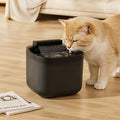 fontaine-eau-chat-sourcevive-noir