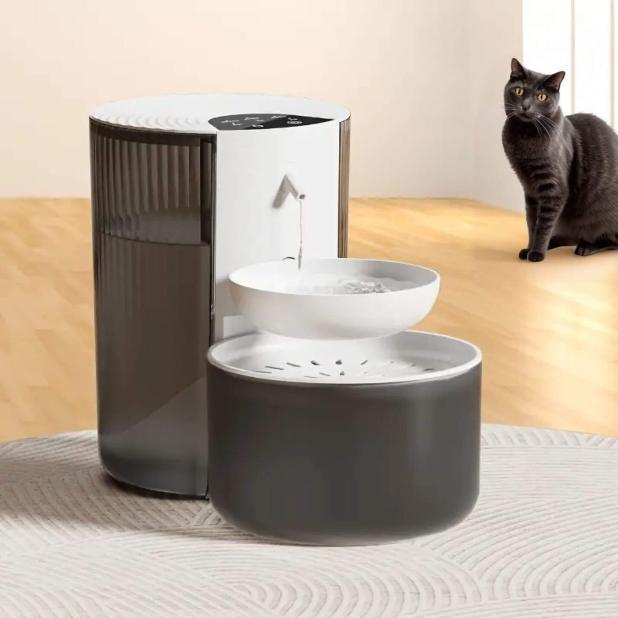 fontaine eau pour chat | MiaouMobile