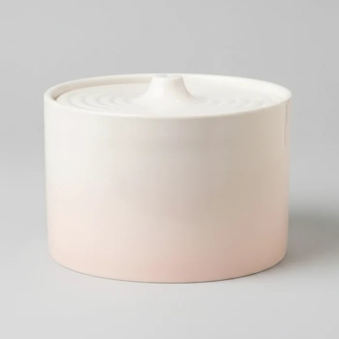 Fontaine à eau pour chat en céramique design : hydratation saine au quotidien