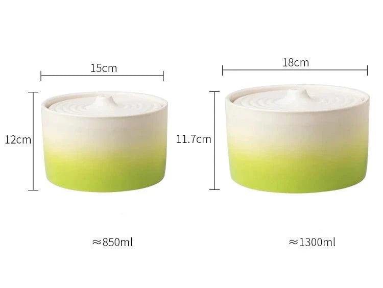 Fontaine à eau pour chat en céramique design : hydratation saine au quotidien