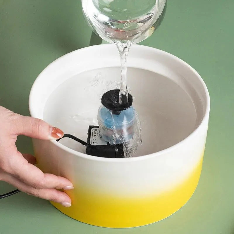Fontaine à eau pour chat en céramique design : hydratation saine au quotidien