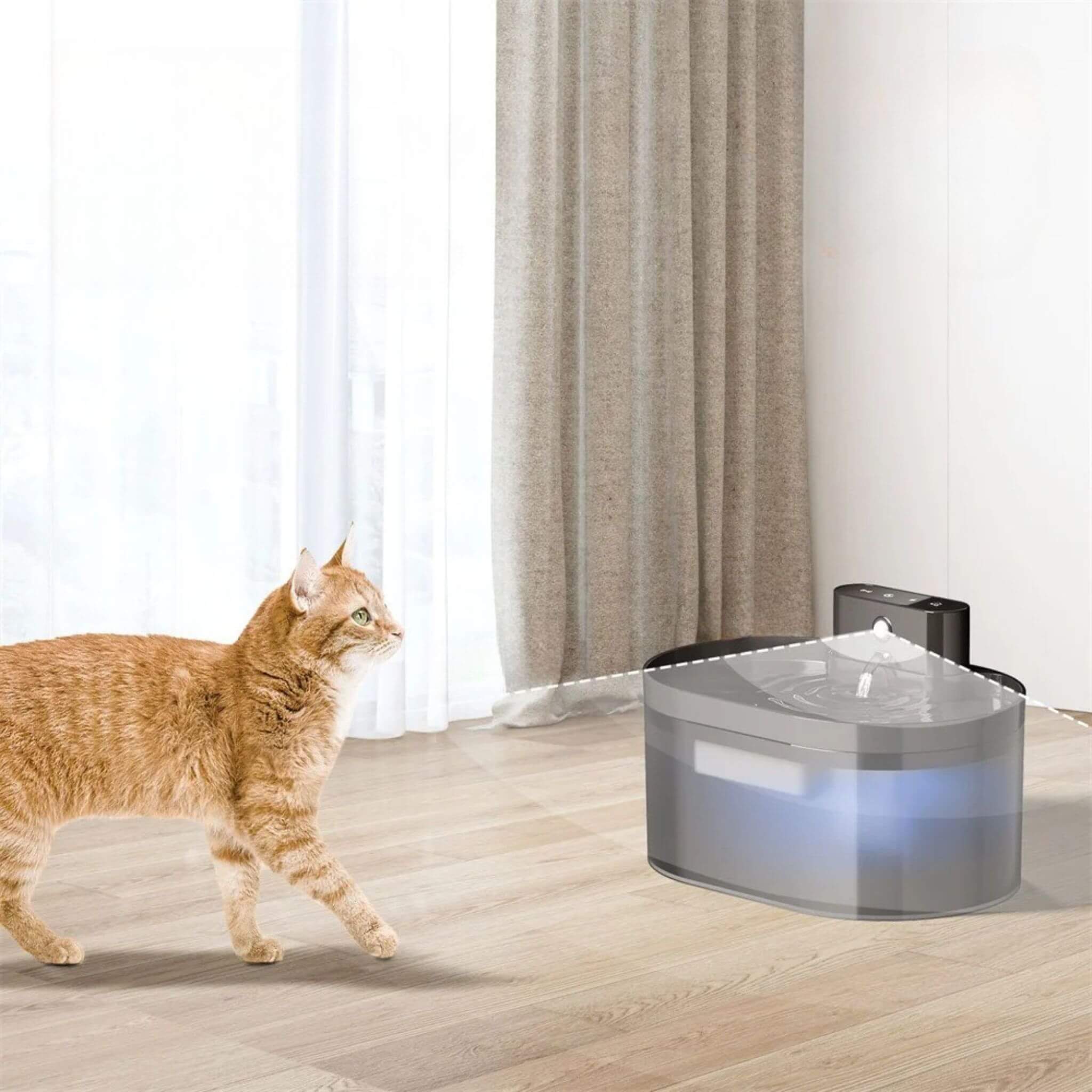 fontaine pour chat | HydroSansFil