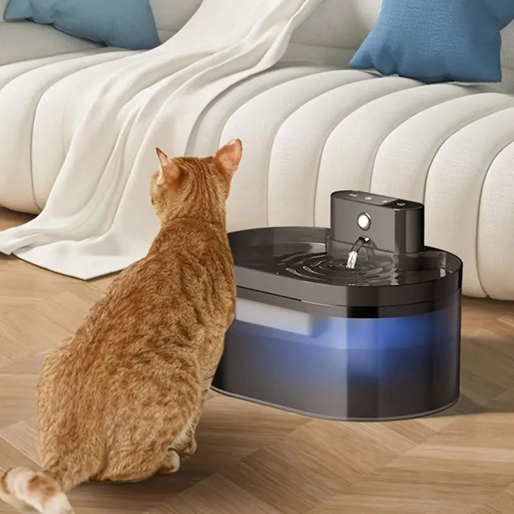 fontaine pour chat | HydroSansFil