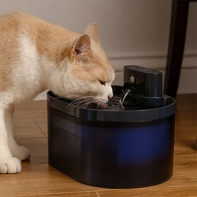 fontaine pour chat | HydroSansFil