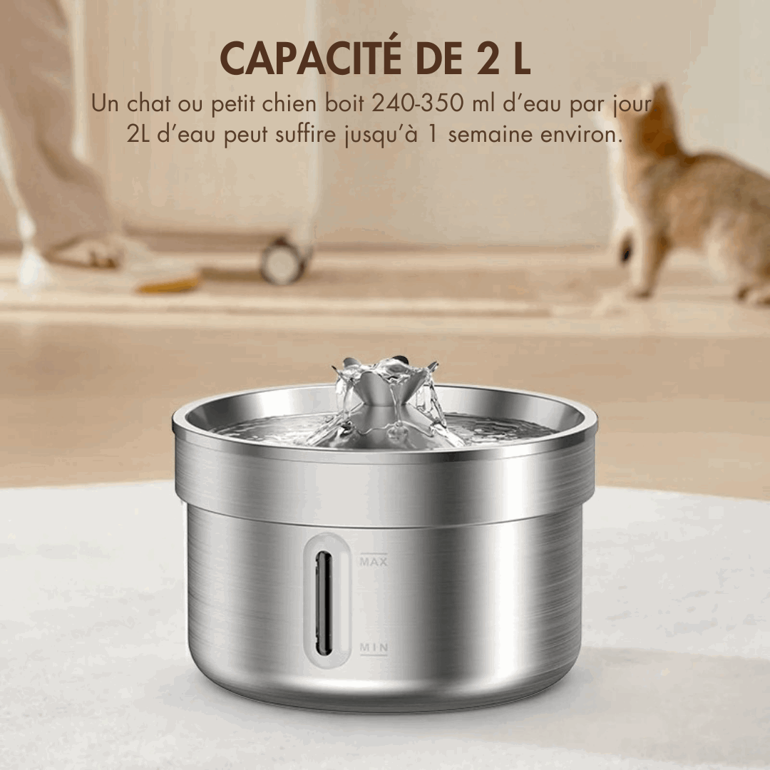 Fontaine à eau pour chat inoxydable 2L