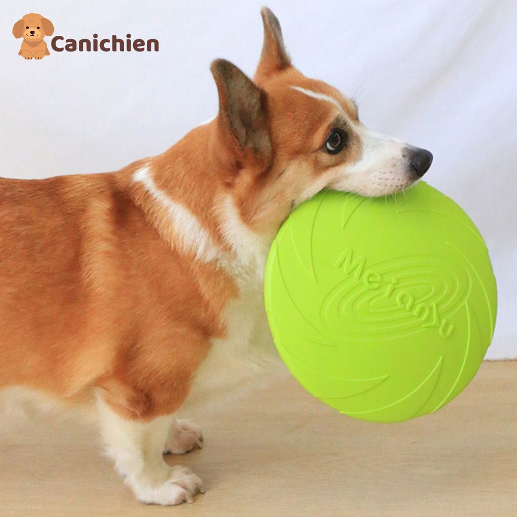 Frisbee chien | PupFly™