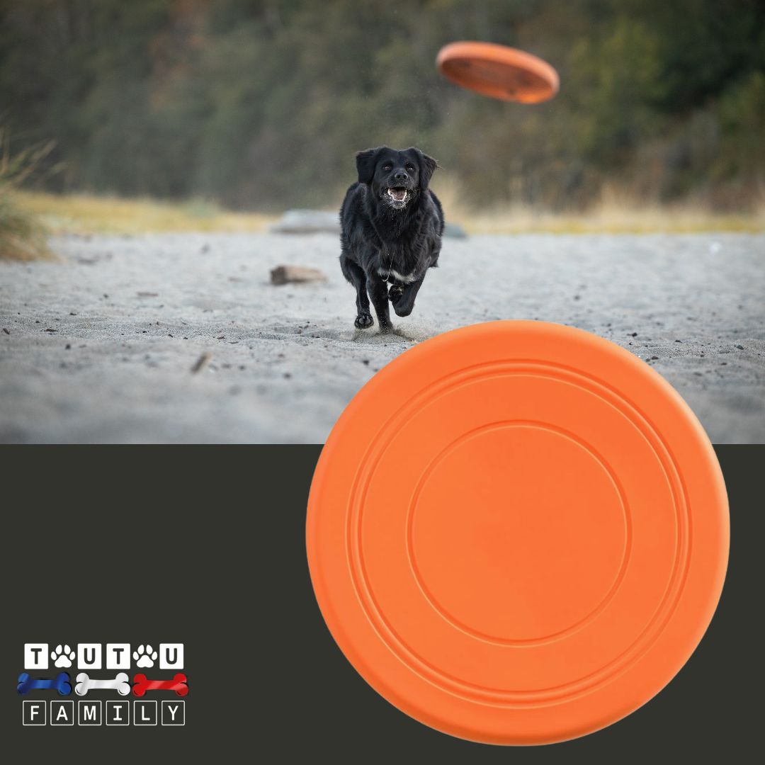 Frisbee-pour-chien-caoutchouc-orange-un-grand-chien-noir-très-musclé-qui-court-pour-attraper-son-frisbee-qui-vole-dans-les-air-de-couleur-orange