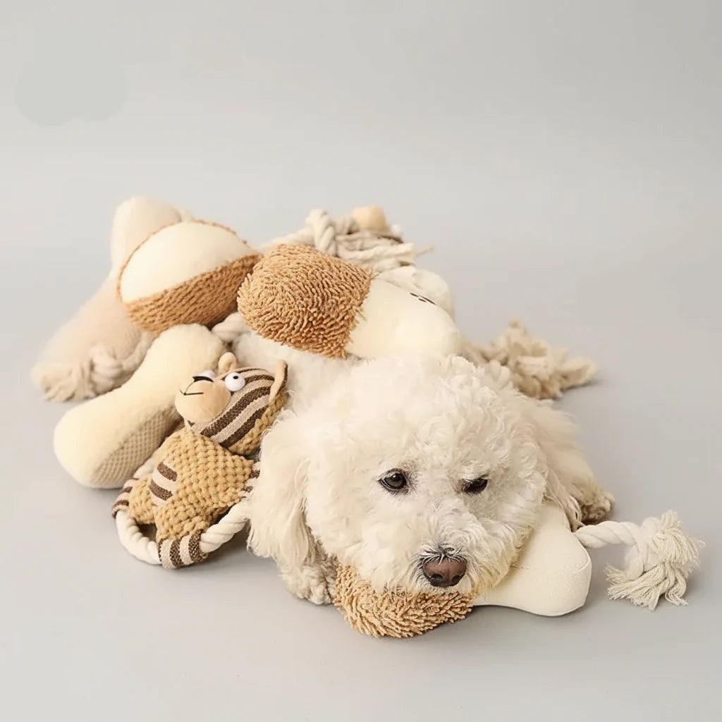 Jouet En Corde De Coton Résistant Pour Chien