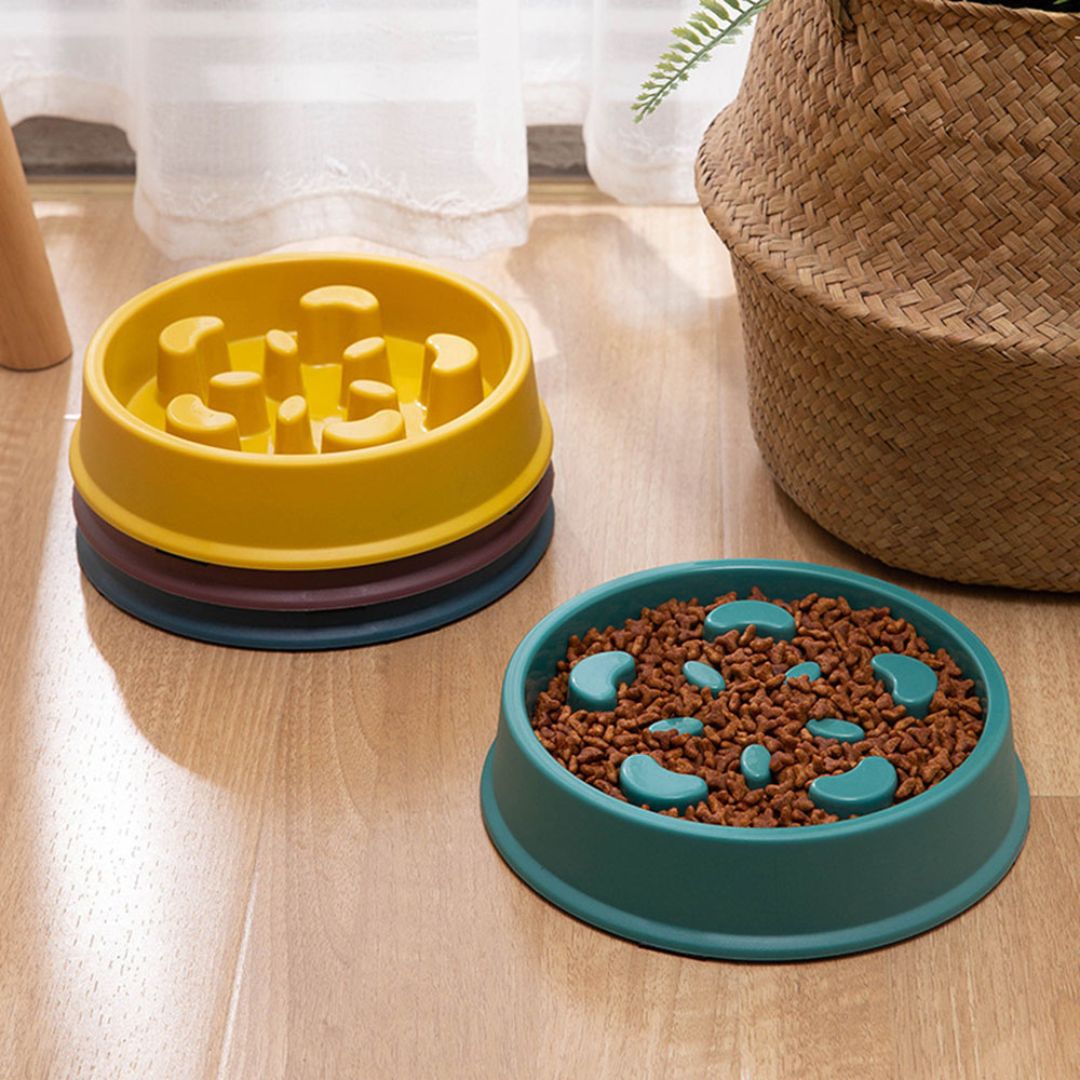 Gamelle anti glouton chien | GobbleStop™