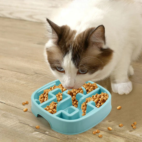 gamelle anti glouton chat | Dégustation Délicate