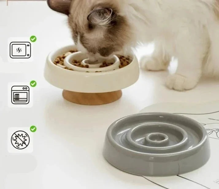 Gamelle En Céramique Anti Glouton Pour Chat
