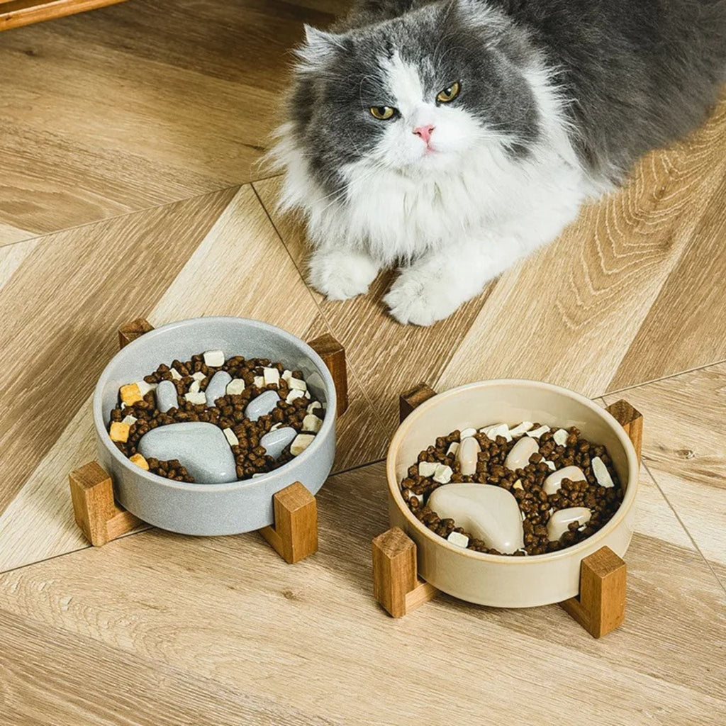 gamelle anti-glouton chat | Patte Gourmande