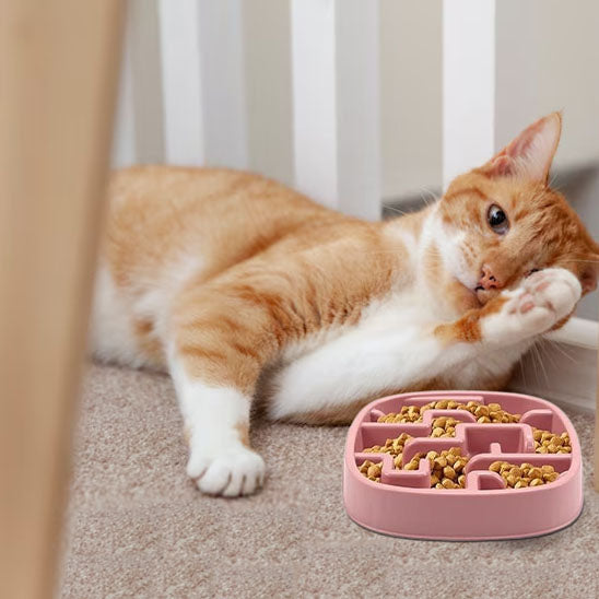 gamelle anti glouton chat | Dégustation Délicate