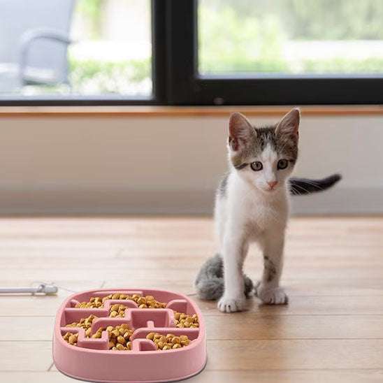 gamelle anti glouton chat | Dégustation Délicate
