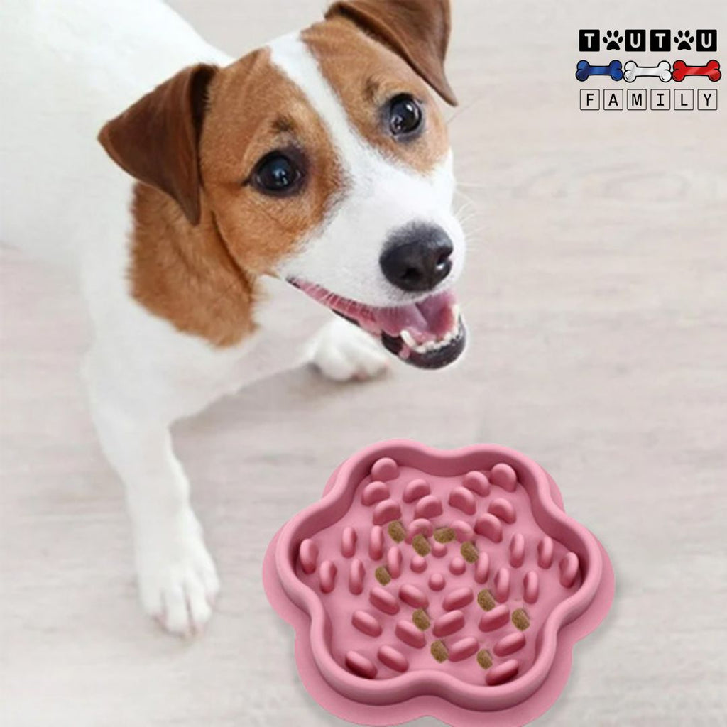 Gamelle anti glouton chien - DigèreToutou™