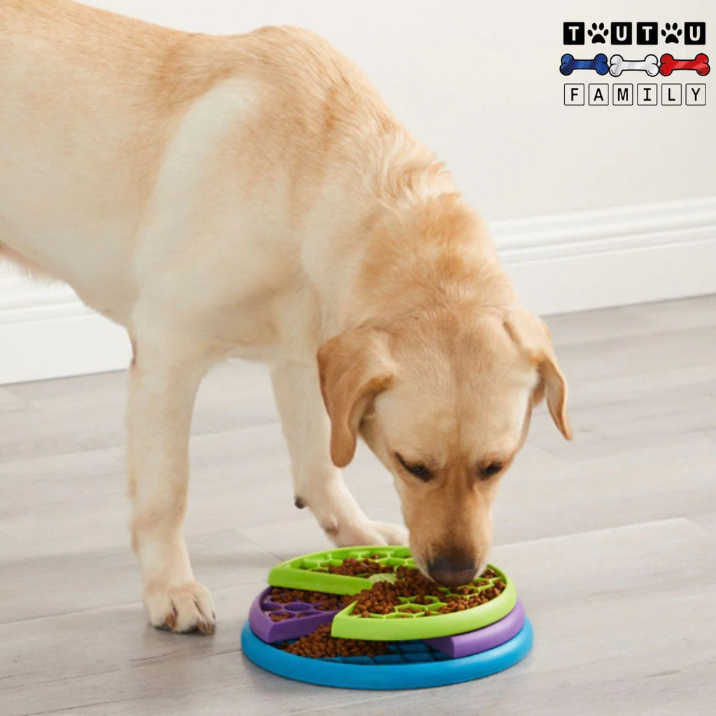 Gamelle anti glouton chien - MentalToutou™