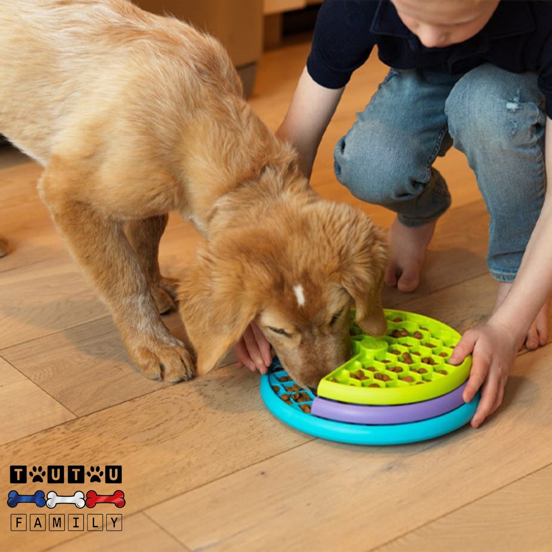 Gamelle anti glouton chien - MentalToutou™