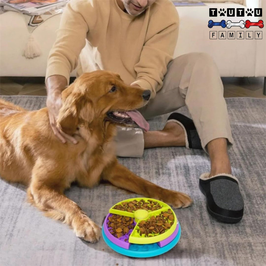 Gamelle anti glouton chien - MentalToutou™