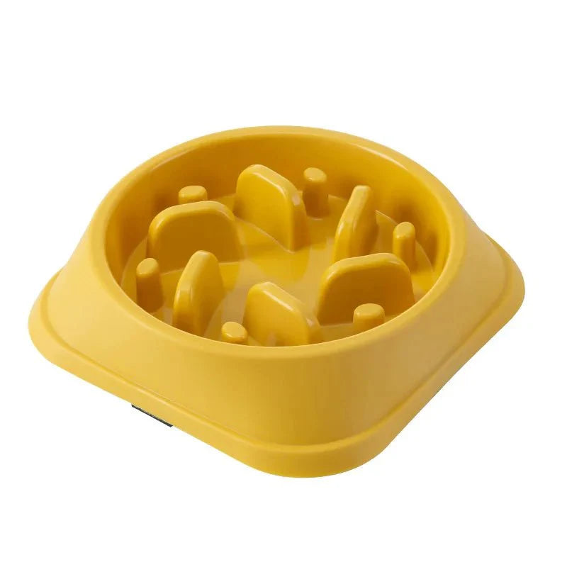 Gamelle Anti Glouton Chien Design Résistant
