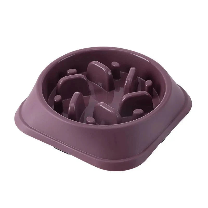 Gamelle anti glouton chien Oscar et Plume en plastique violet pour ralentir l'alimentation