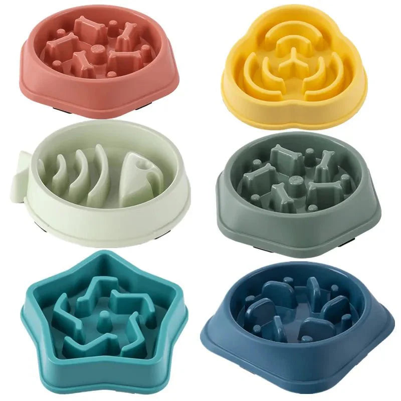 Gamelle Anti Glouton Chien Design Résistant