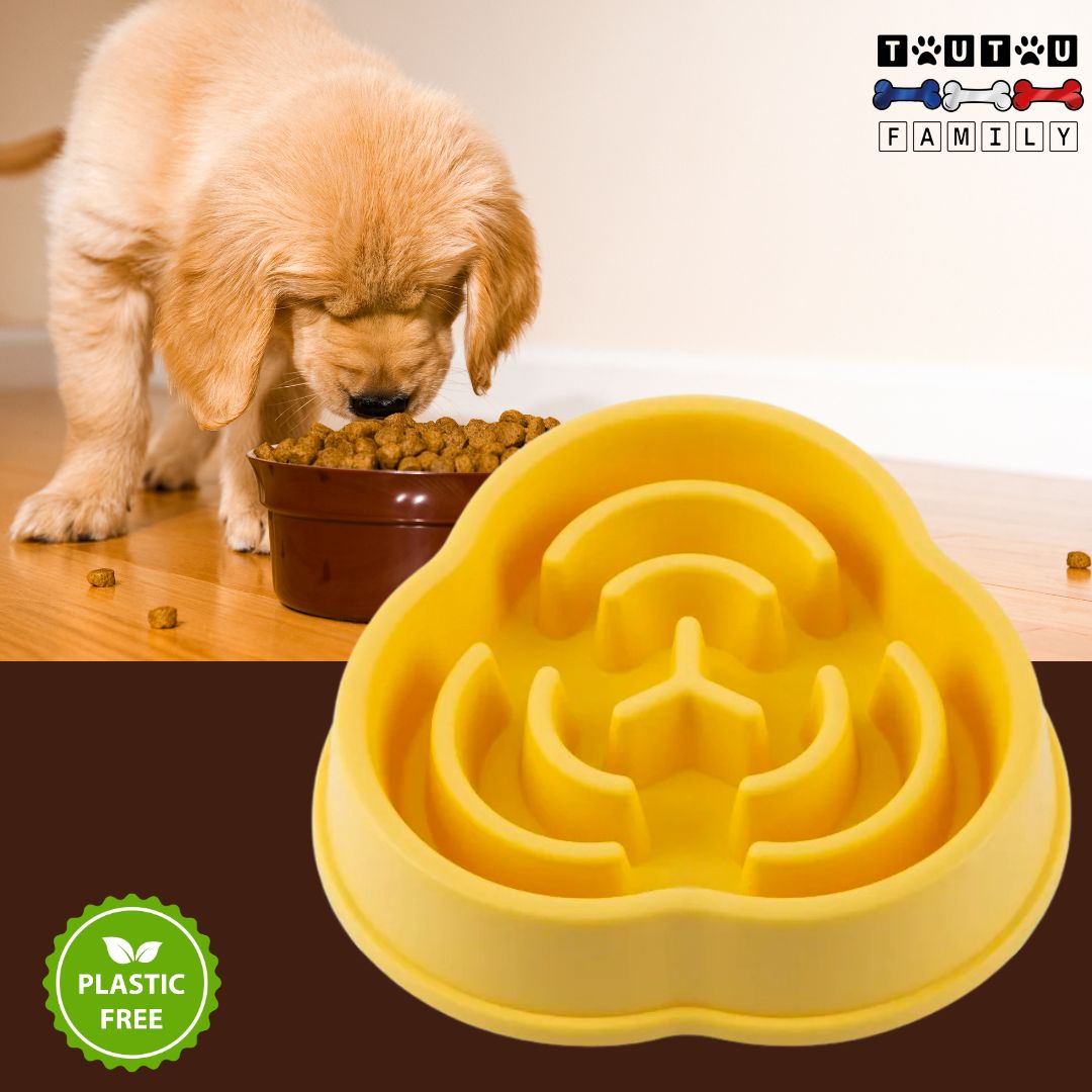 gamelle-anti-glouton-à-labyrinthe-jaune-un-chiot-qui-mange-avec-la-gamelle-anti-glouton