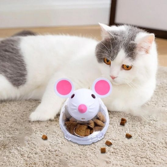 gamelle anti-glouton | DISTRI MOUSE