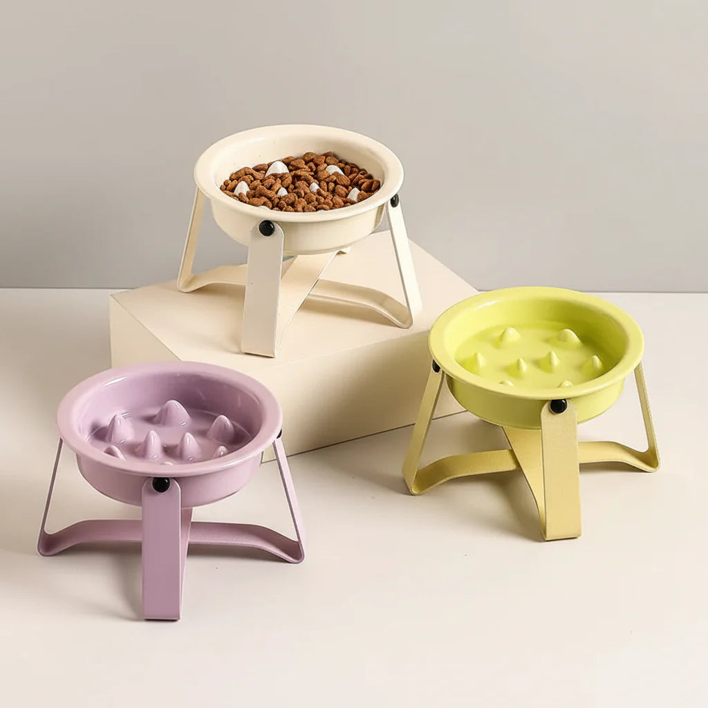 Gamelle Céramique Surélevée Anti Glouton Pour Chien et Chat