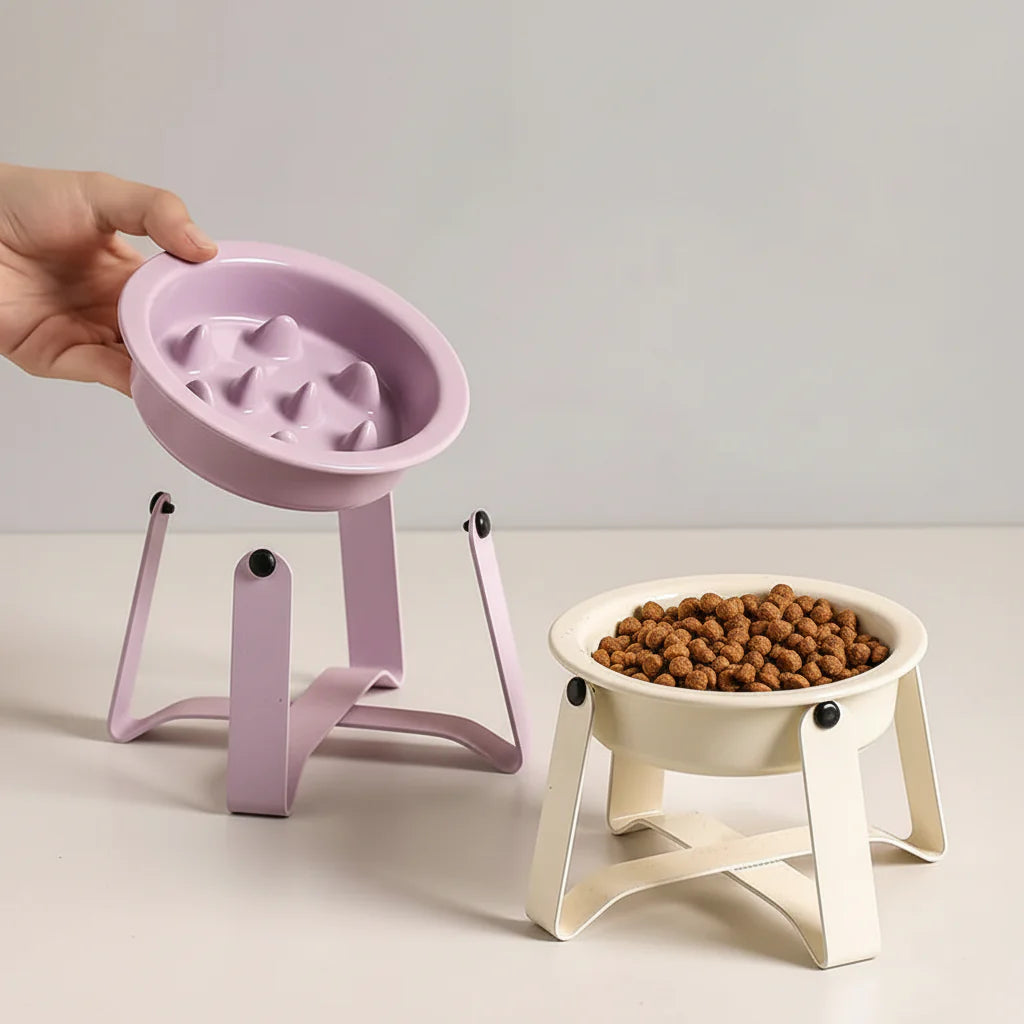Gamelle Céramique Surélevée Anti Glouton Pour Chien et Chat