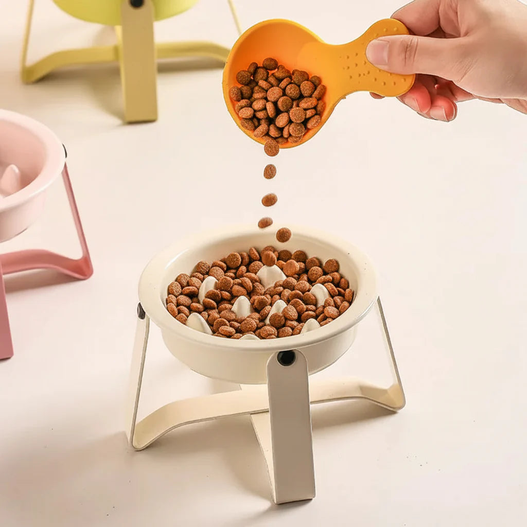 Gamelle Céramique Surélevée Anti Glouton Pour Chien et Chat