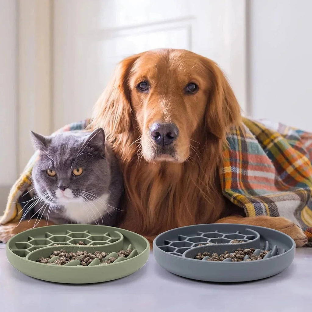 Gamelle anti-glouton silicone pour chien et chat : alimentation lente