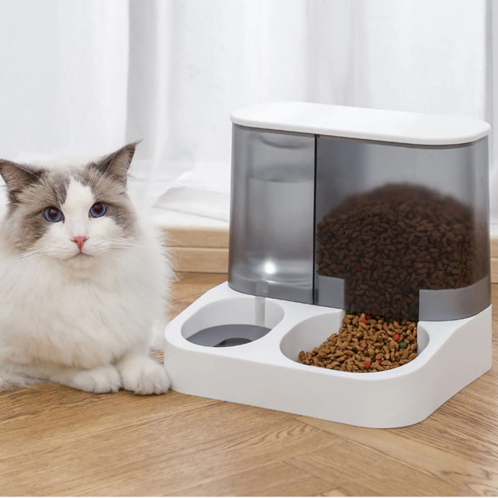gamelle automatique chat |AUTOMATIC DISTRI