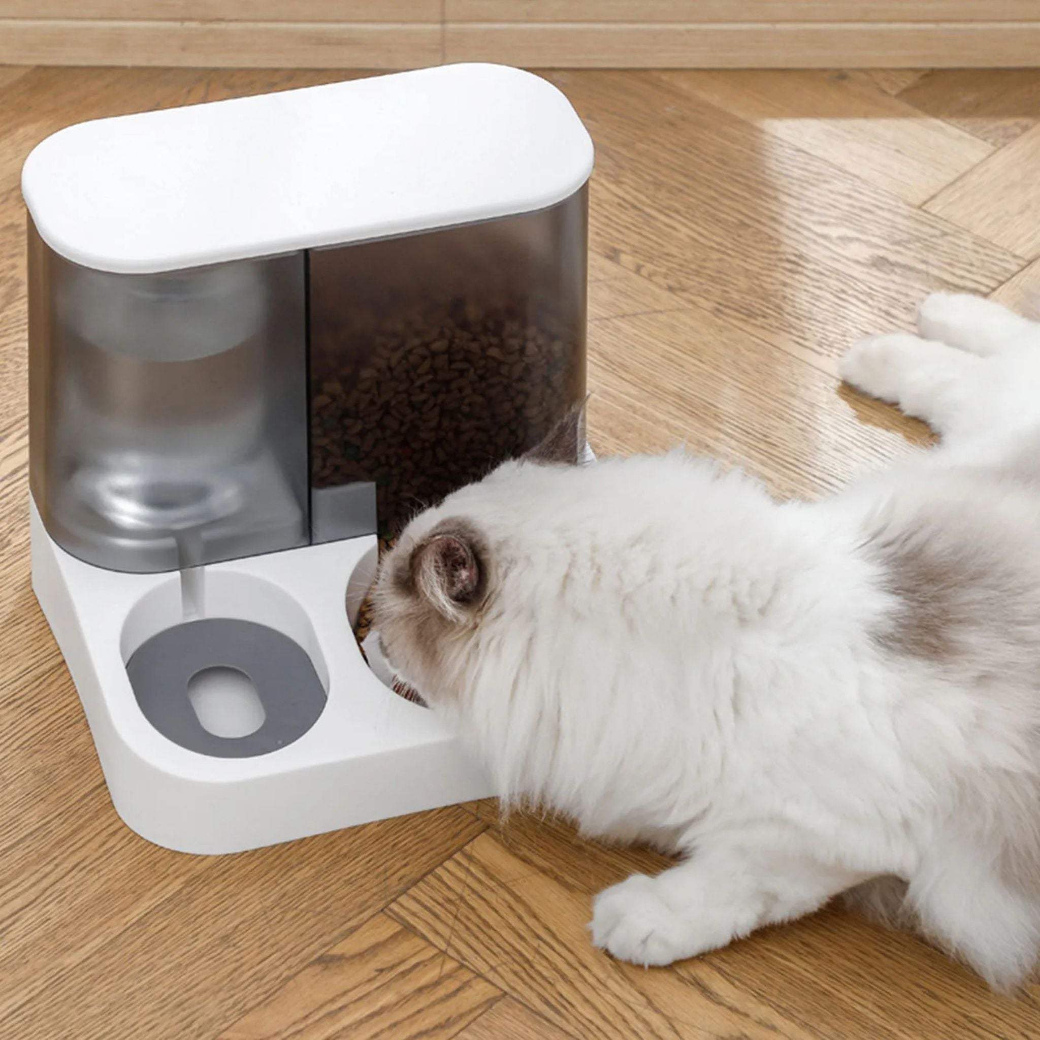 gamelle automatique chat |AUTOMATIC DISTRI