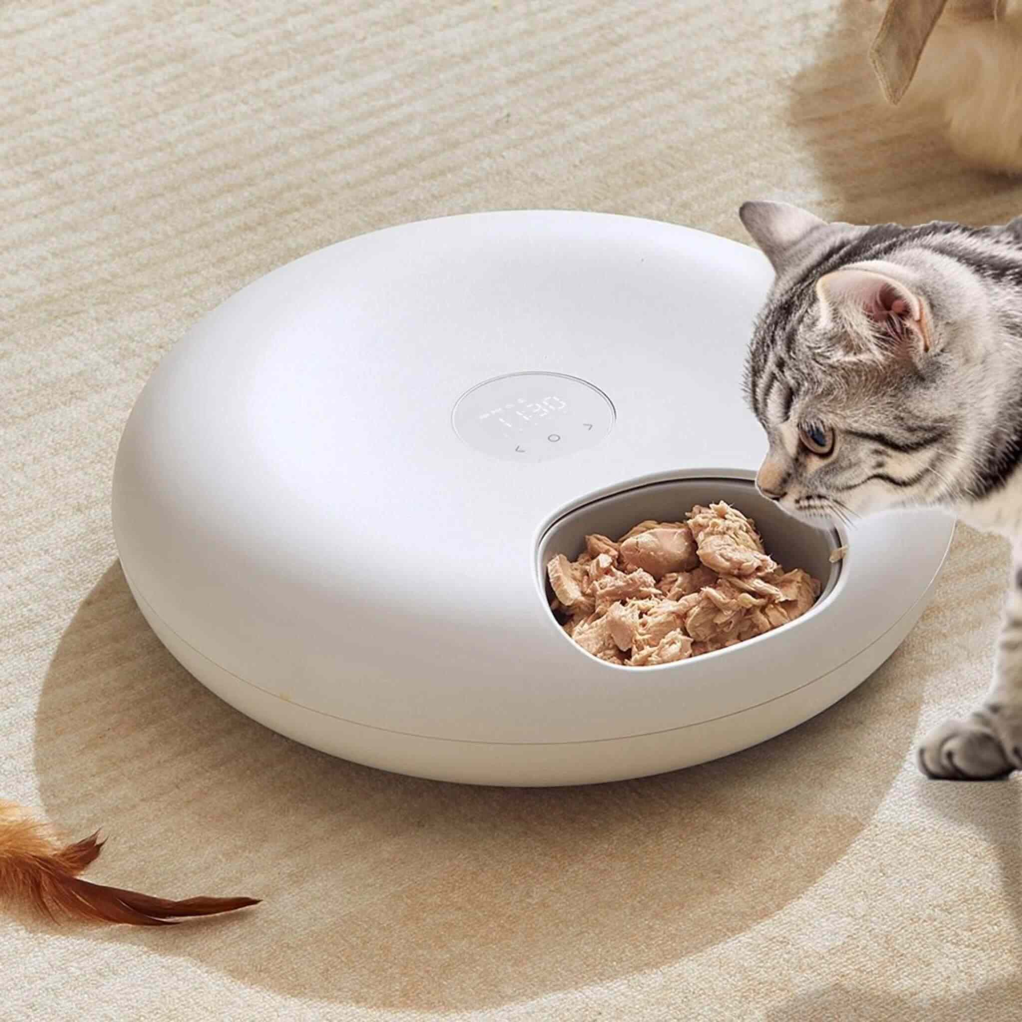 gamelle automatique chat Gourmet Frigo