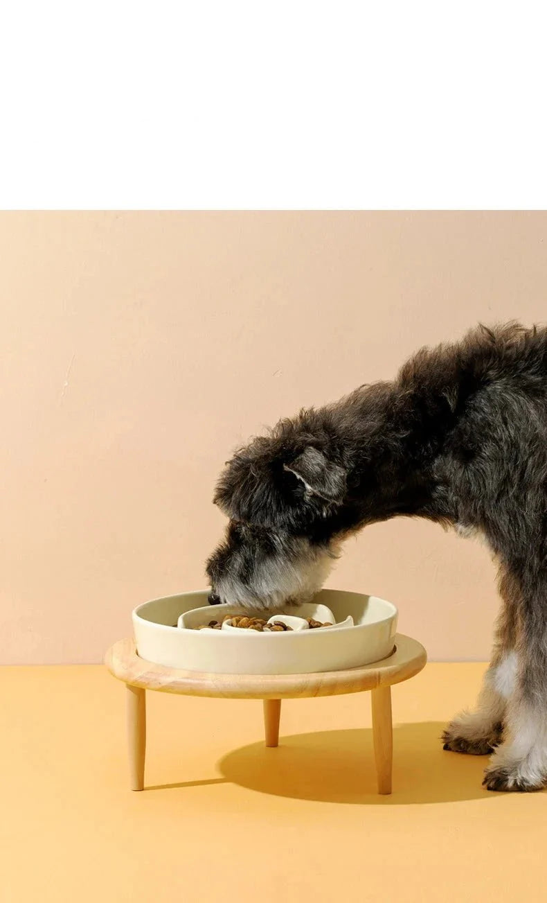 Gamelle anti-glouton en céramique pour chien et chat