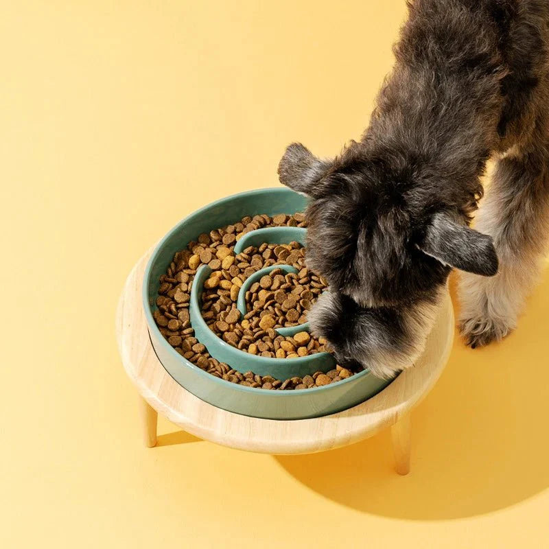 Gamelle anti-glouton en céramique pour chien et chat