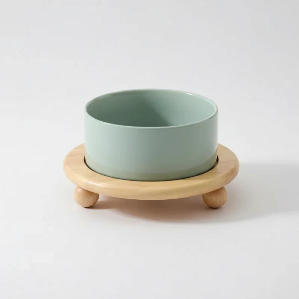 Gamelle céramique chat couleur vert d'eau avec support en bois naturel Oscar et Plume