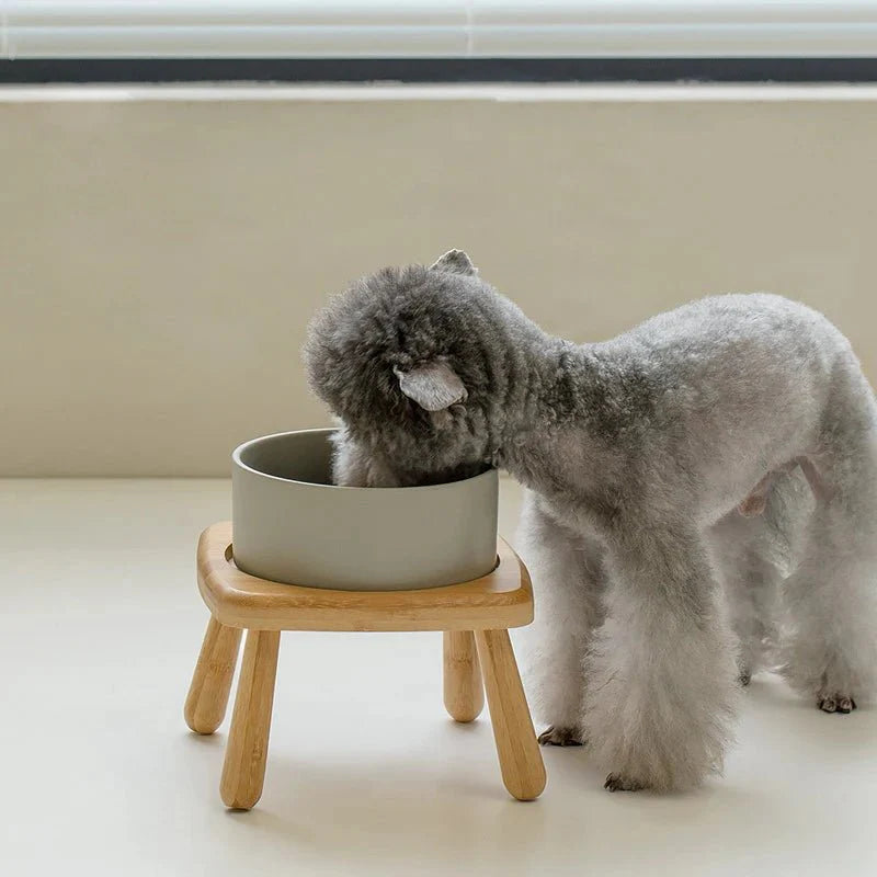 Gamelle En Céramique Avec Support Bois Pour Chien