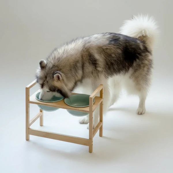 Gamelle réglable En Céramique Pour Chien