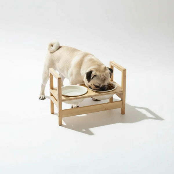 Gamelle réglable En Céramique Pour Chien